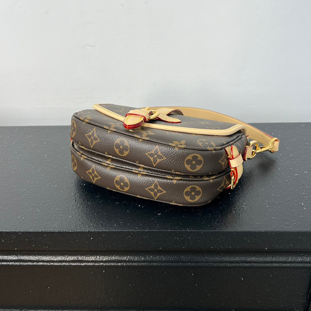 LV Saumur BB
